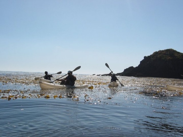 Descubre la baja en kayak